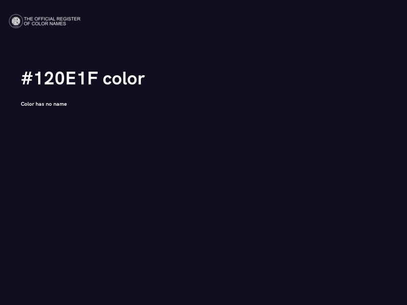 #120E1F color image