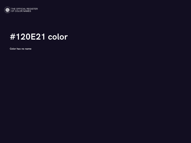 #120E21 color image