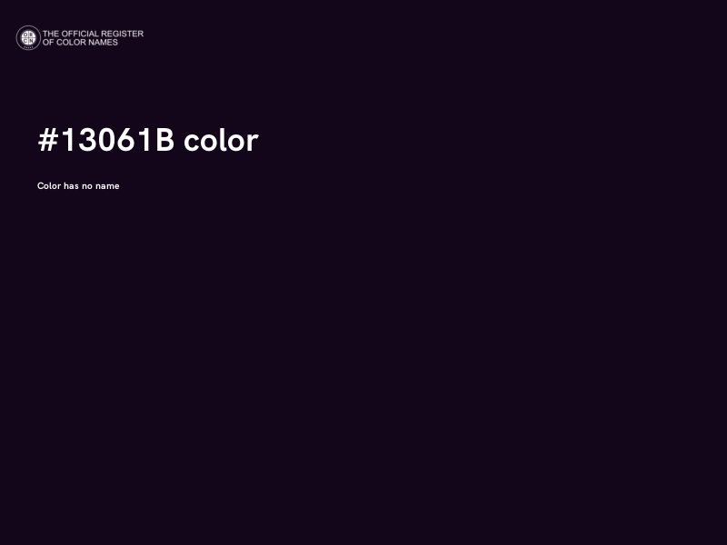 #13061B color image