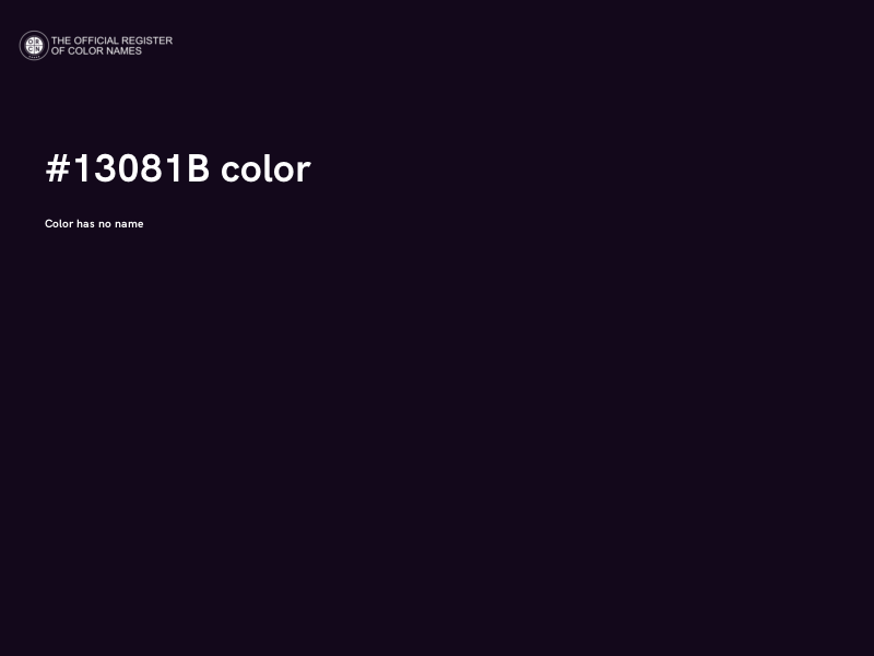 #13081B color image