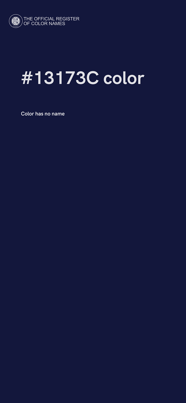 #13173C color image