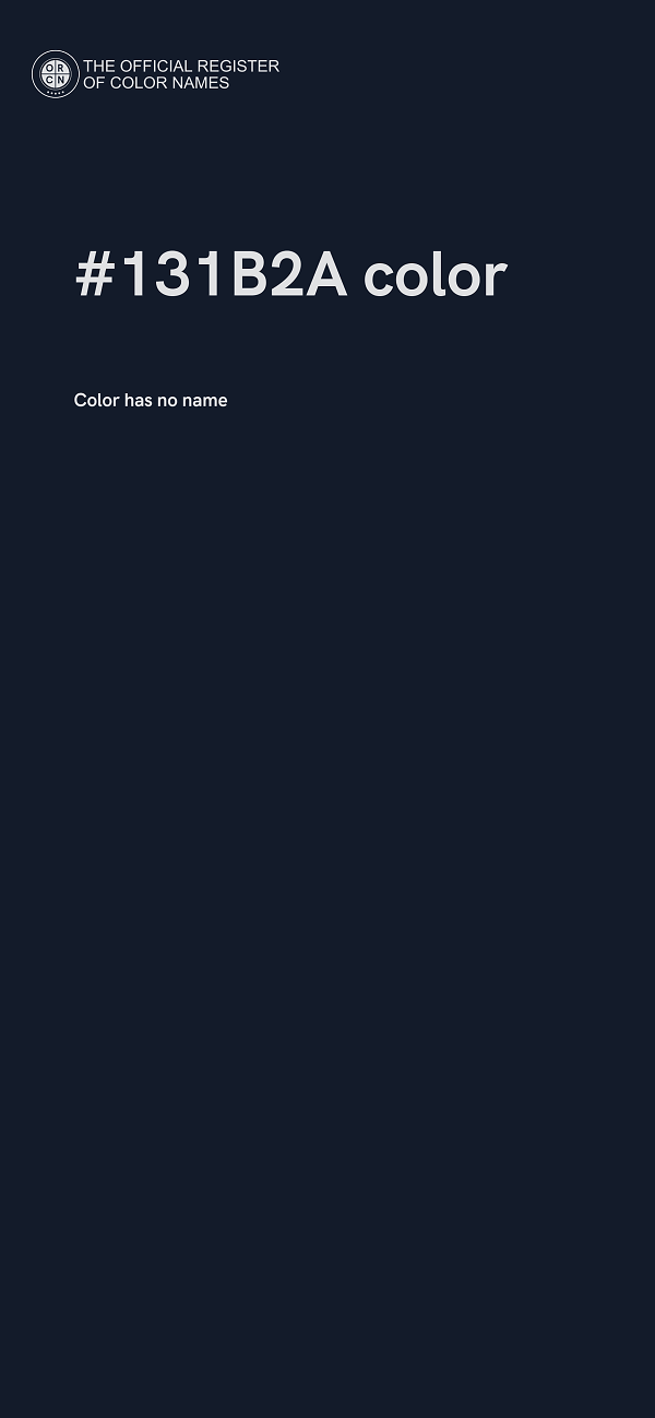 #131B2A color image