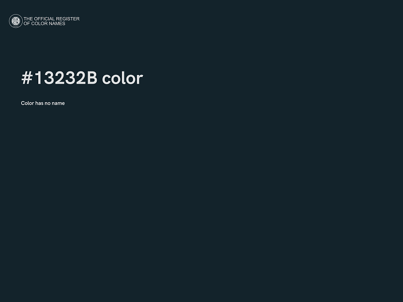 #13232B color image