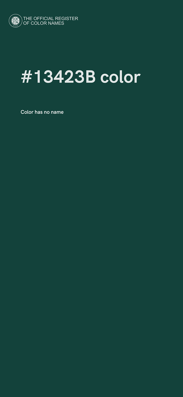 #13423B color image