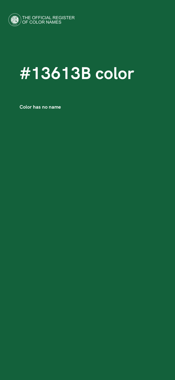 #13613B color image
