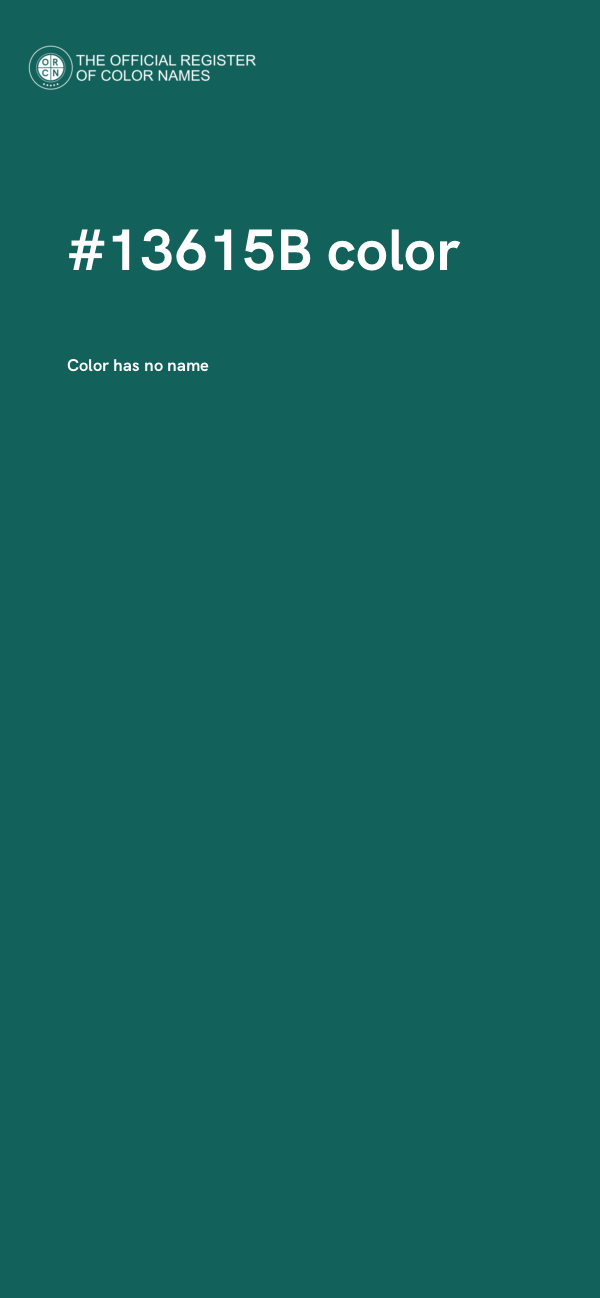 #13615B color image