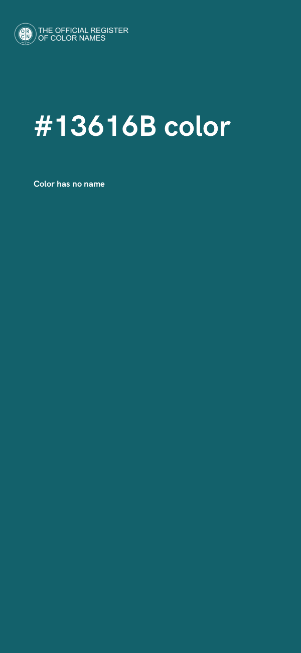 #13616B color image