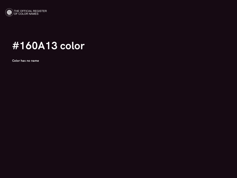 #160A13 color image