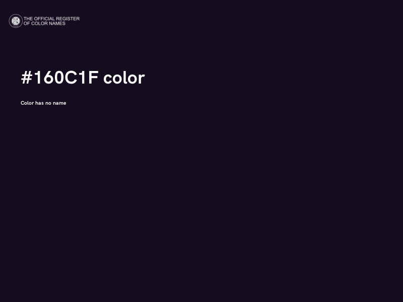 #160C1F color image