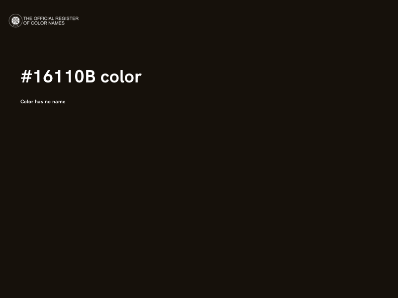 #16110B color image