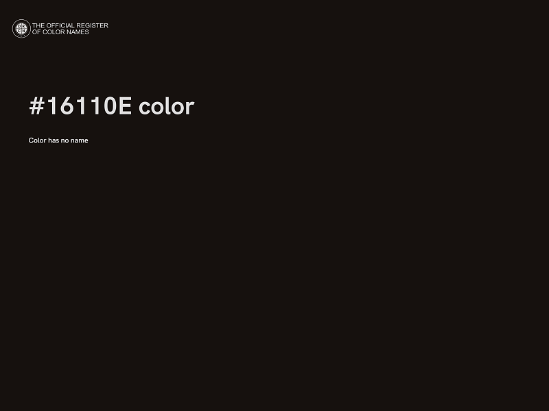 #16110E color image