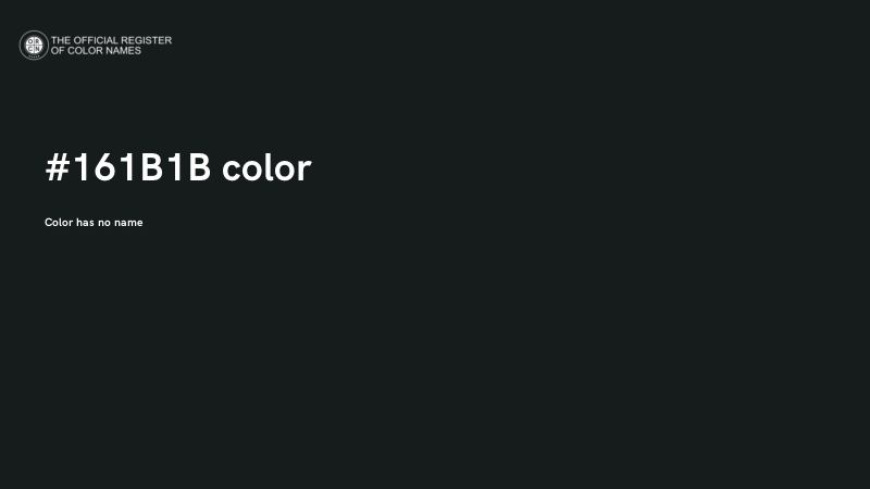 #161B1B color image