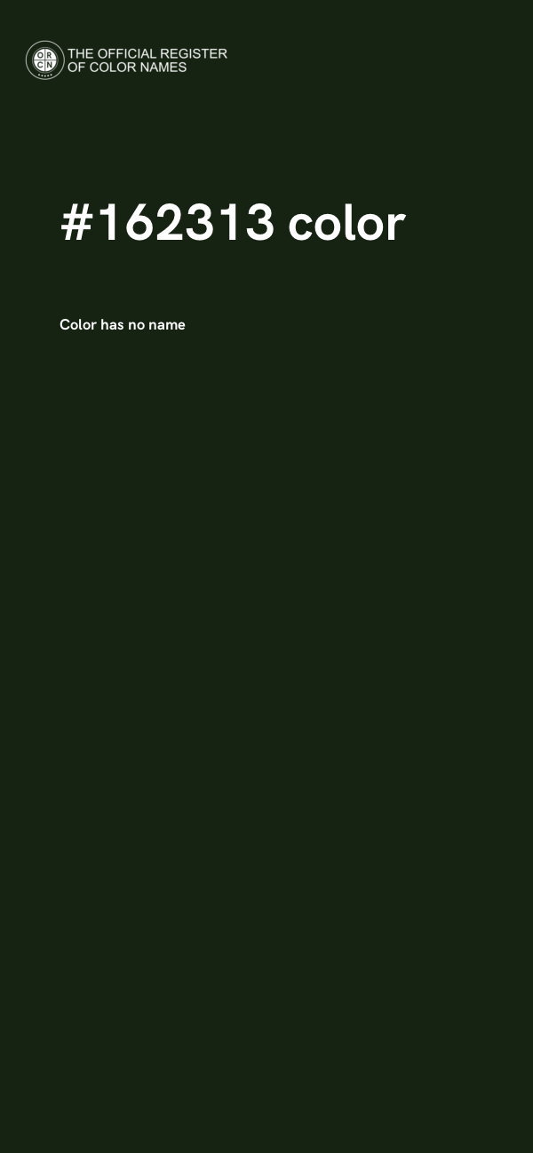 #162313 color image