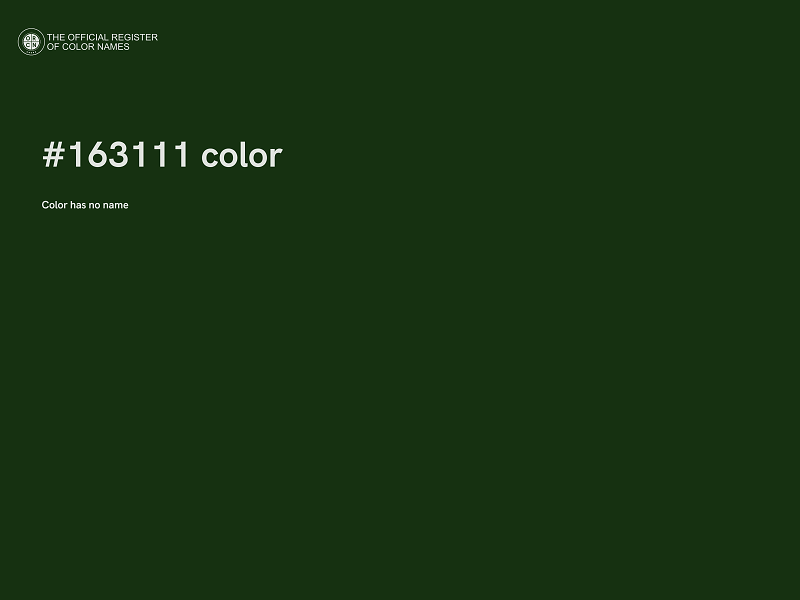 #163111 color image