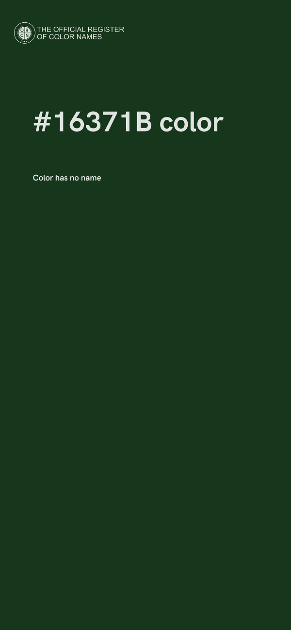 #16371B color image