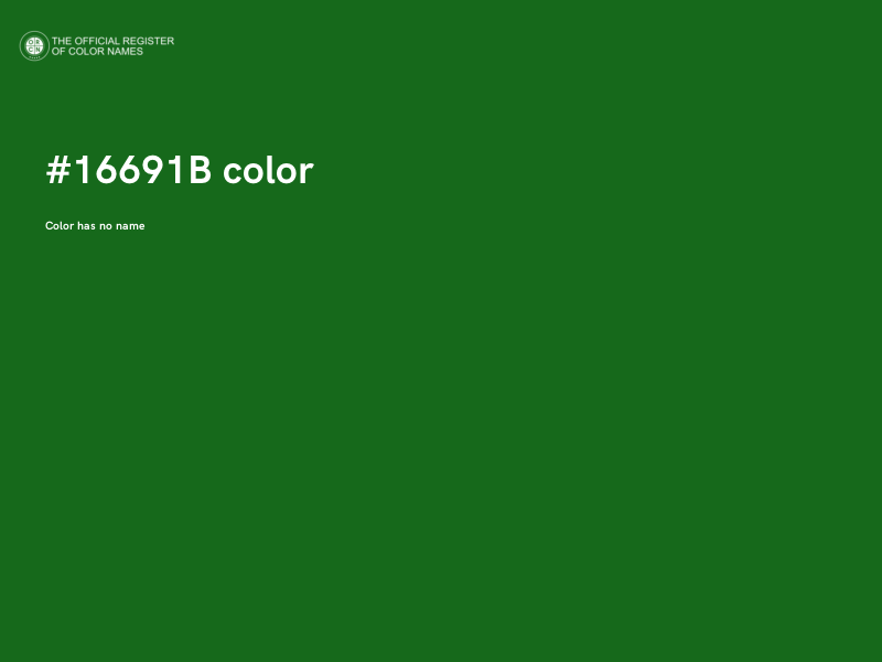 #16691B color image
