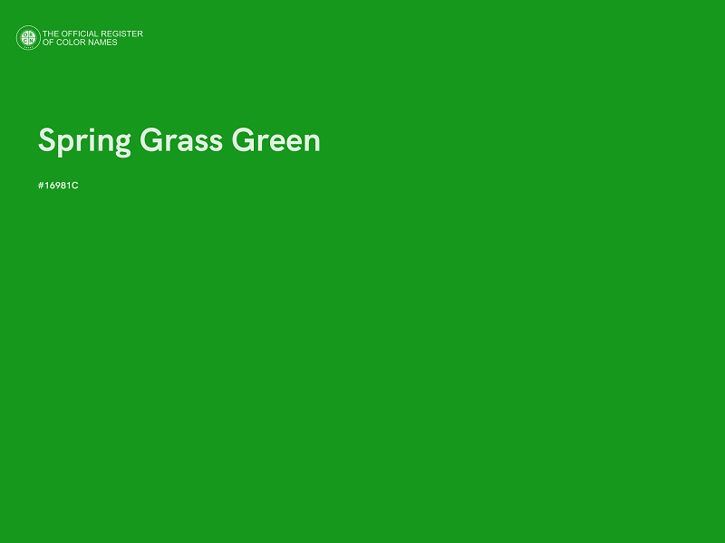 #16981C - Spring Grass Green color image