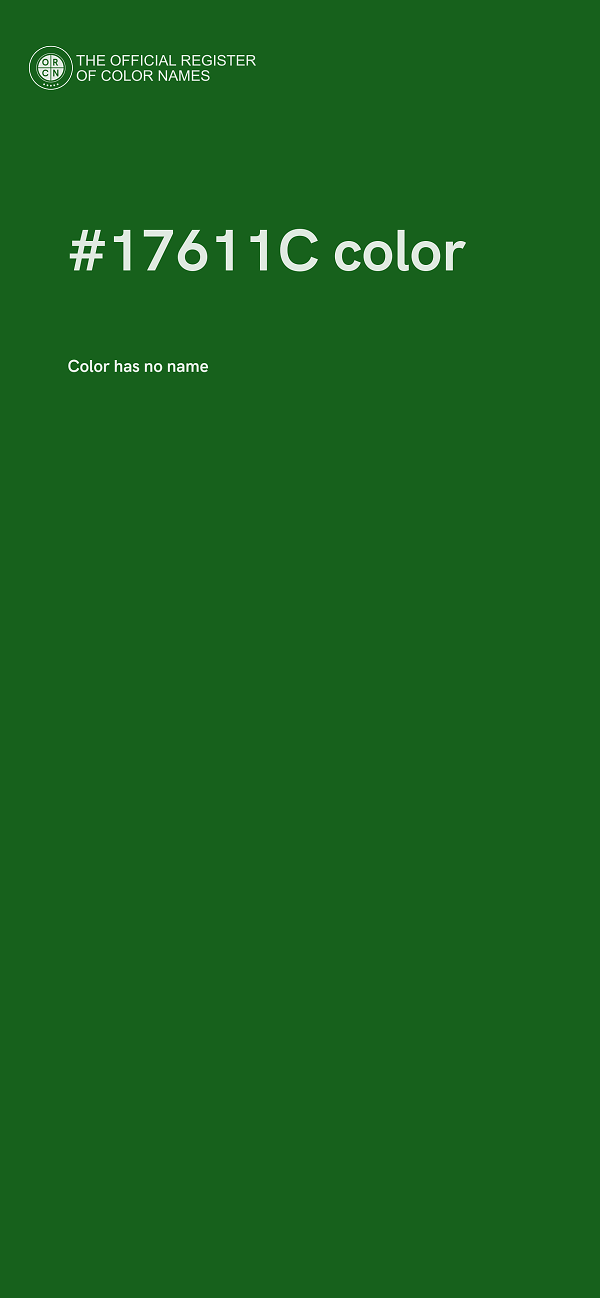 #17611C color image