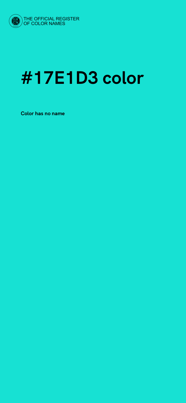 #17E1D3 color image