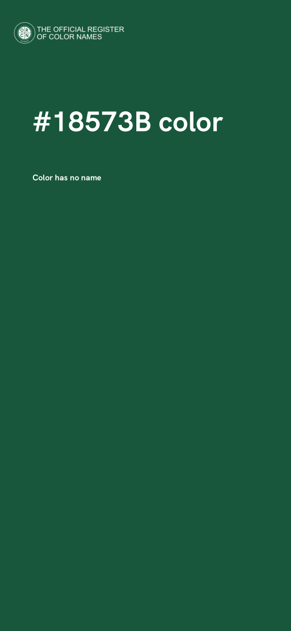 #18573B color image