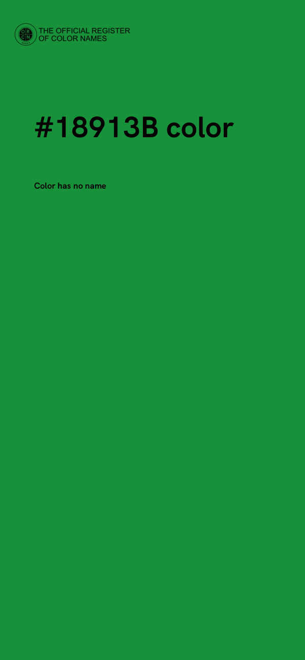 #18913B color image