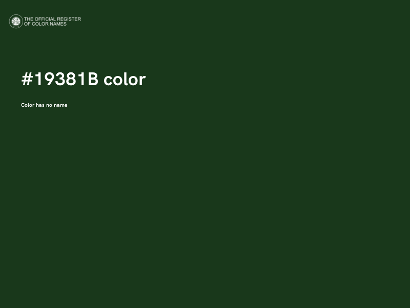 #19381B color image