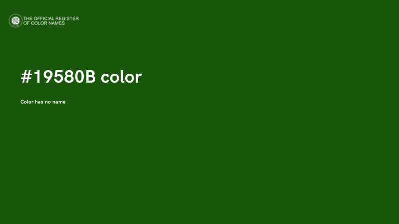 #19580B color image