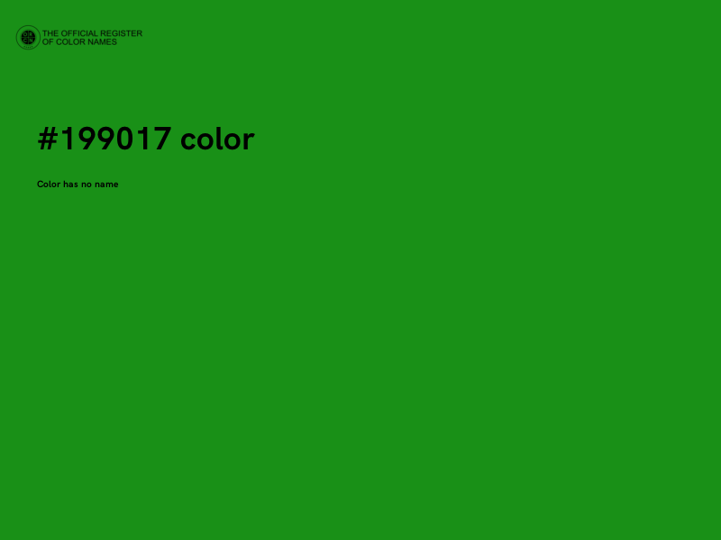 #199017 color image