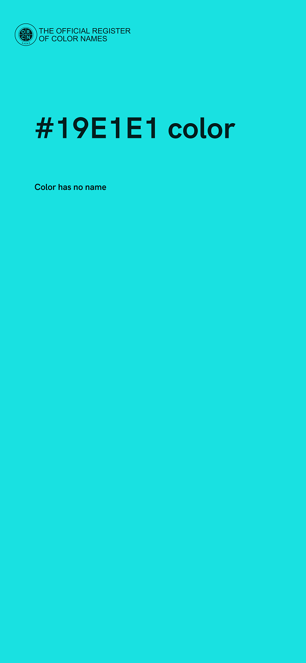 #19E1E1 color image