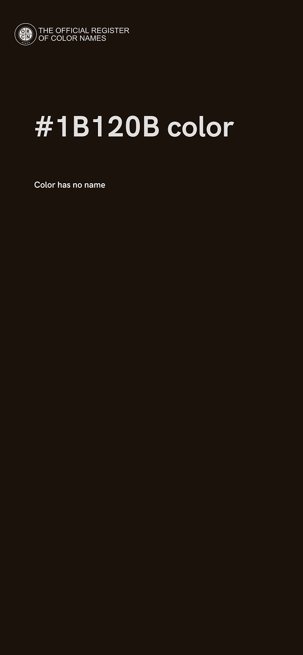#1B120B color image
