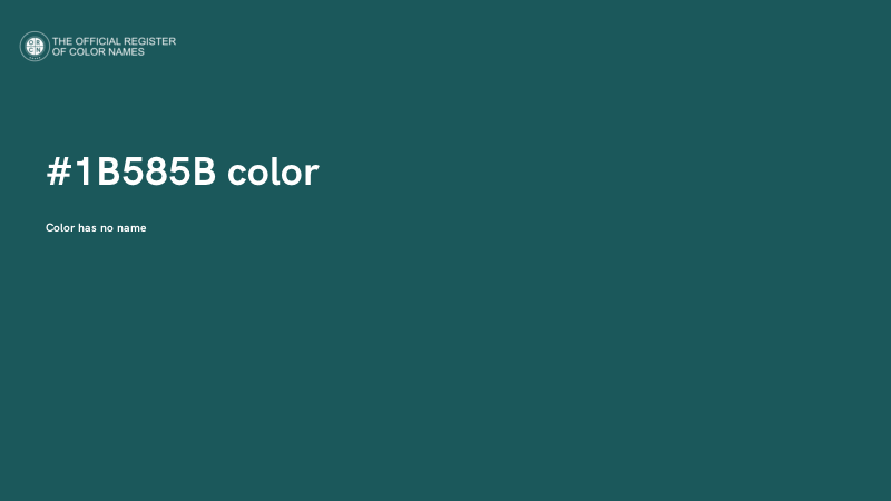 #1B585B color image