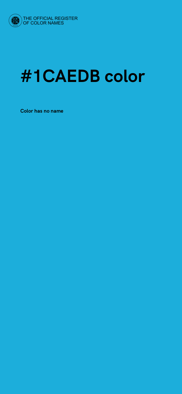 #1CAEDB color image