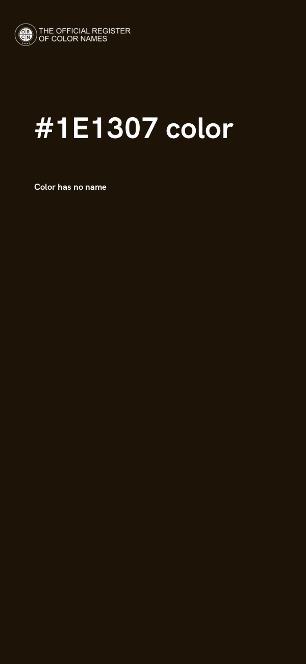 #1E1307 color image