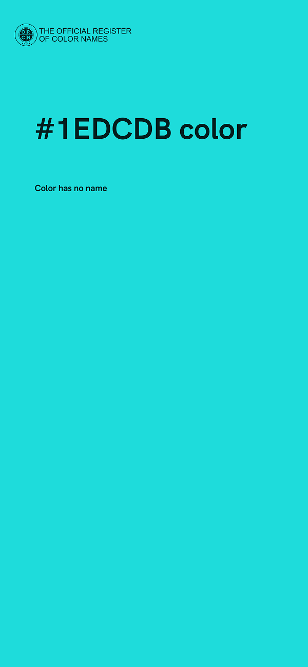 #1EDCDB color image