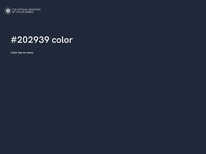 #202939 color image