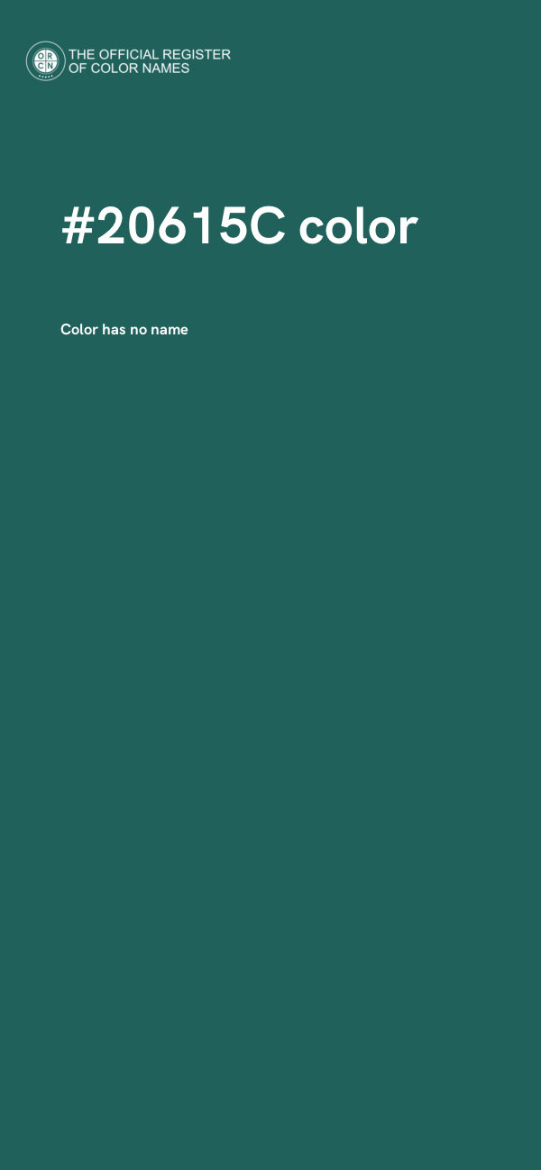 #20615C color image