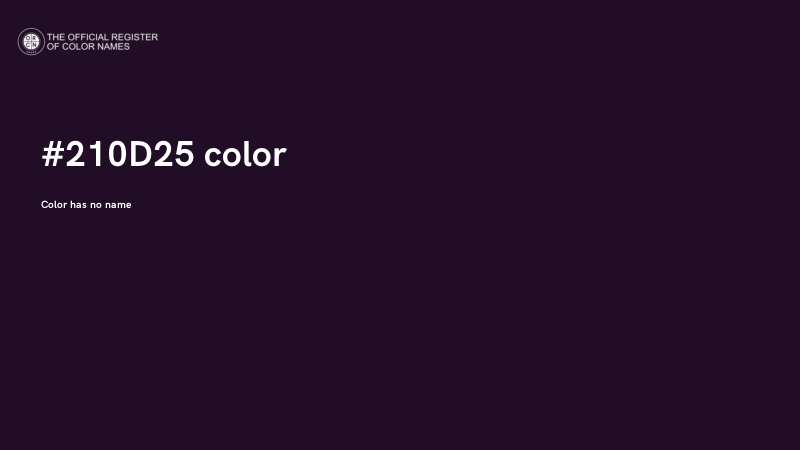 #210D25 color image