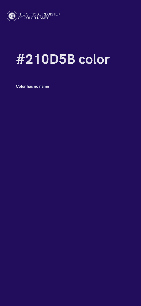 #210D5B color image