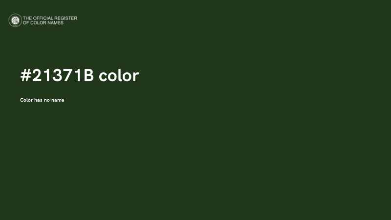 #21371B color image