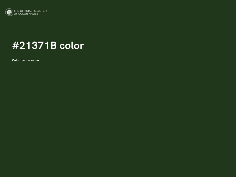 #21371B color image