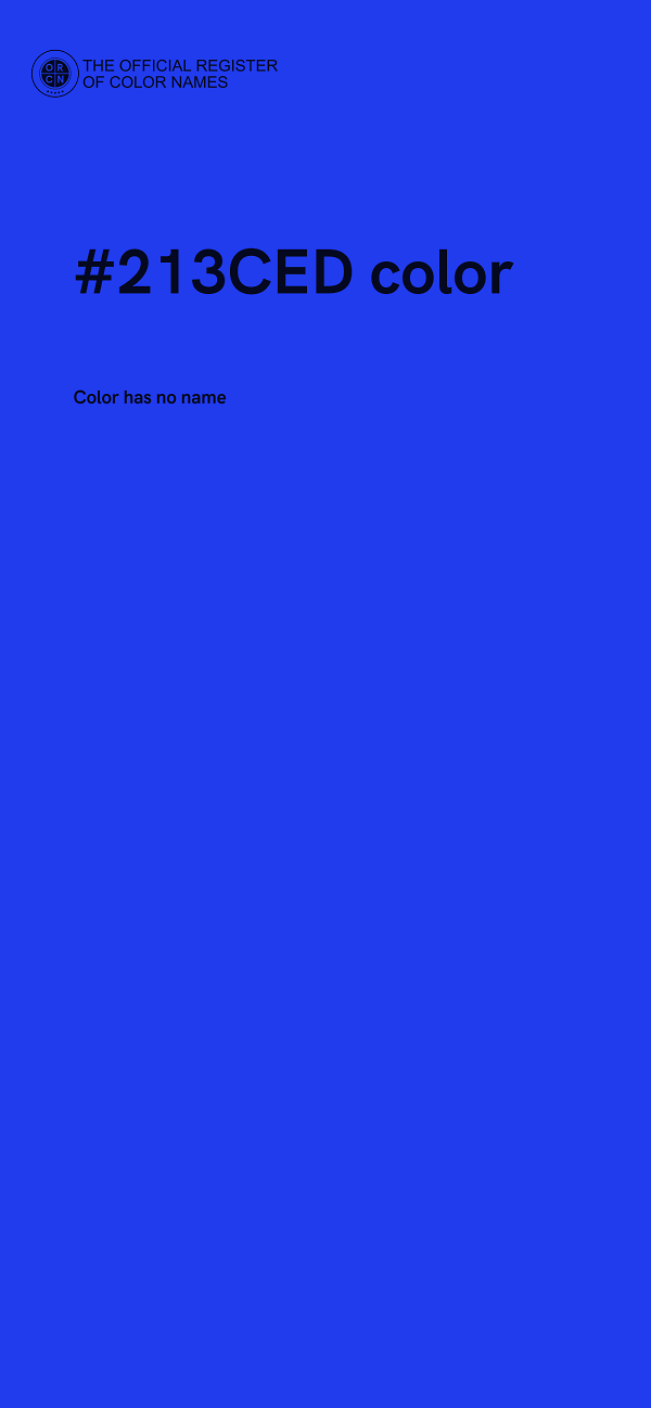 #213CED color image