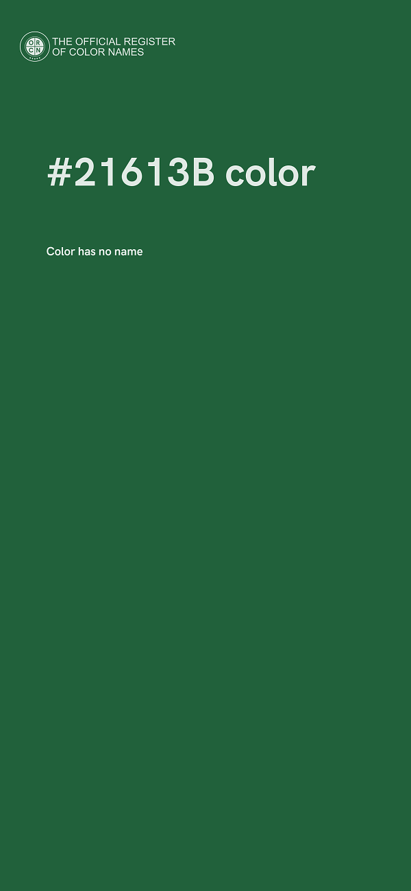 #21613B color image