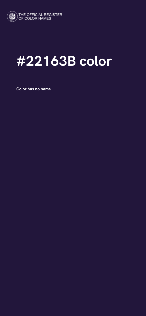 #22163B color image