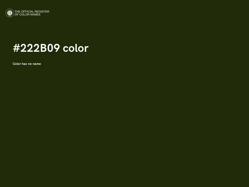 #222B09 color image