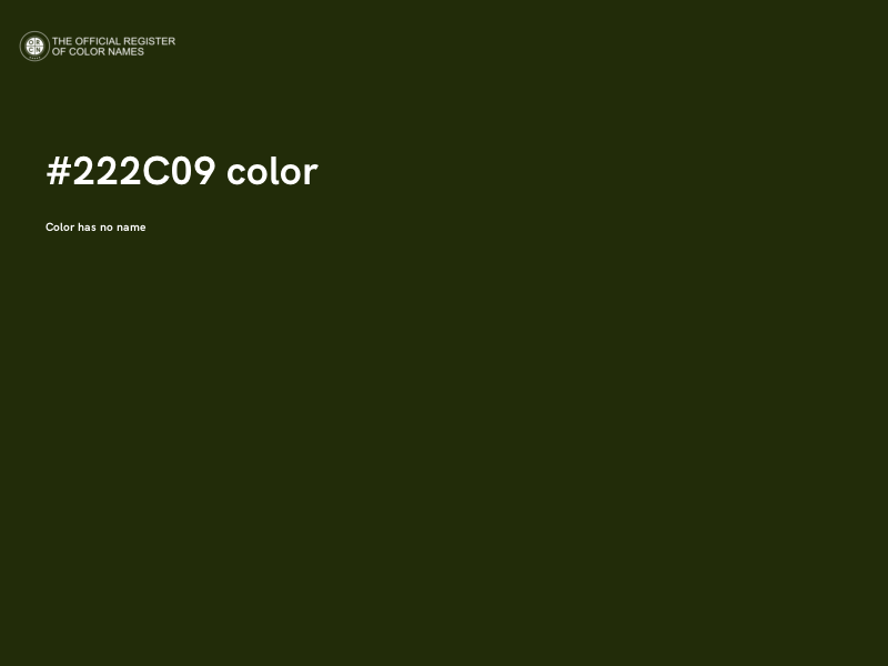 #222C09 color image