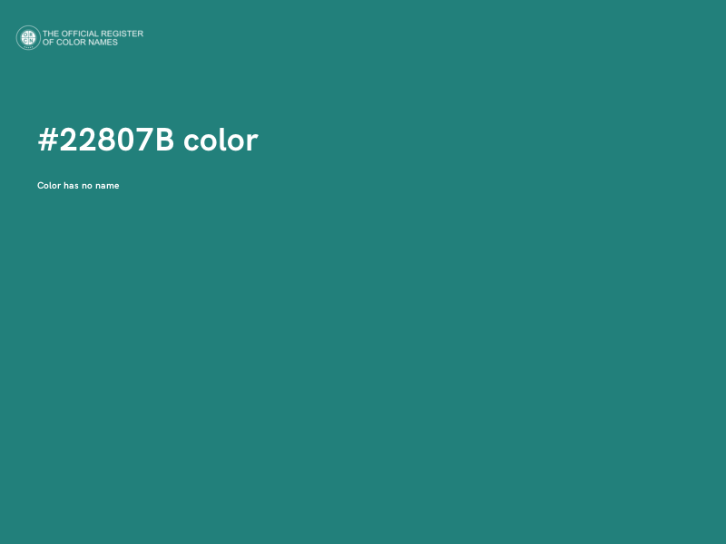 #22807B color image