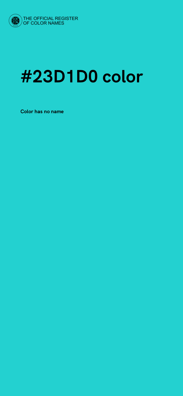 #23D1D0 color image