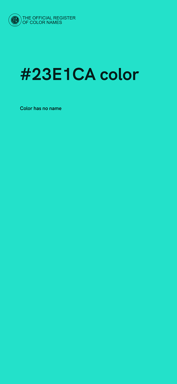 #23E1CA color image