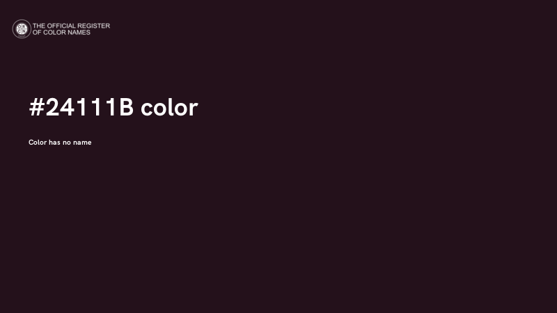 #24111B color image