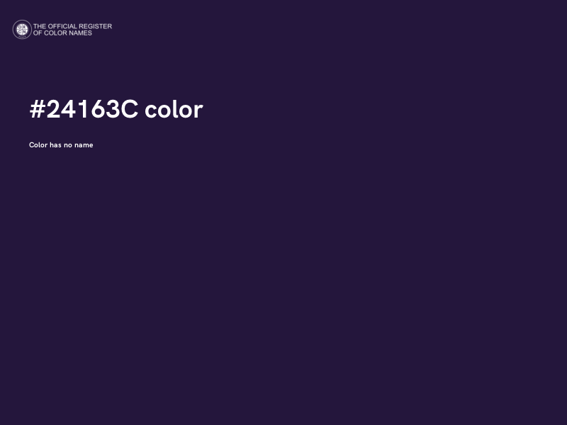 #24163C color image